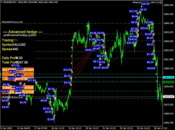 ADVANCED HEDGE - 1