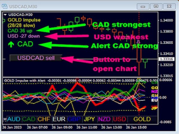 GOLD Impulse With Alert - 1