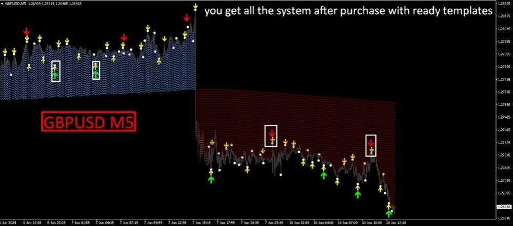 MAX PAYNEX INDICATOR - 1
