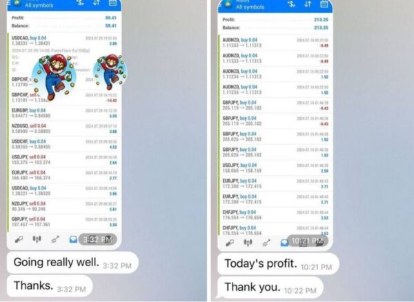 FOREXFLARE ROBOT - 1